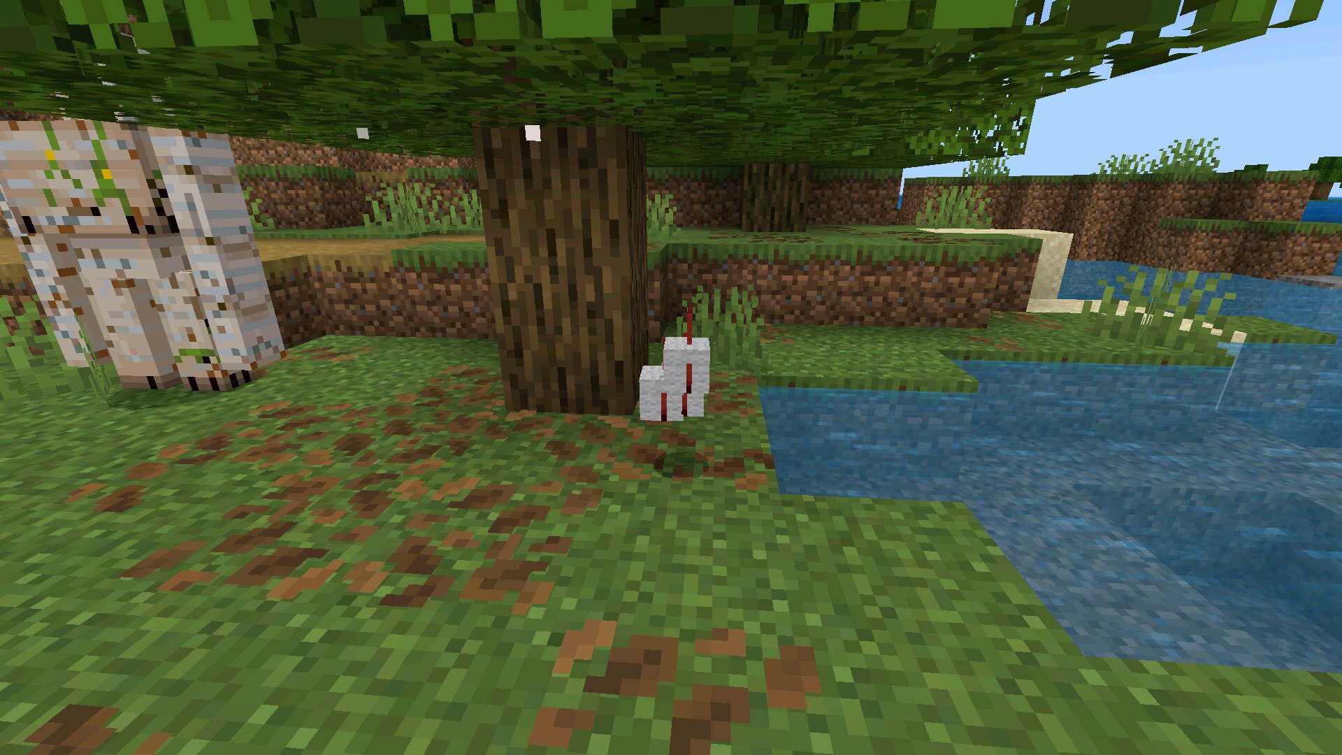 Мясо и шерсть из мода на Лут для Minecraft PE