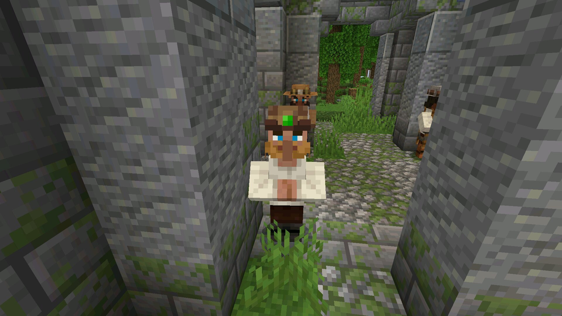 NPC из Мода Core Craft для Minecraft Bedrock NPC из Мода Core Craft для Майнкрафт Бедрок